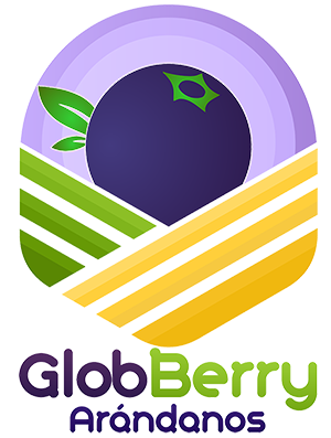 GlobBerry