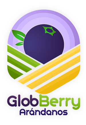 GlobBerry